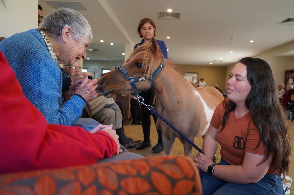 Maverick receiving lots of attention